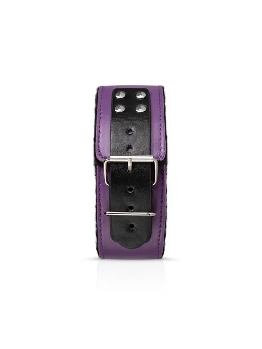 Fialový BDSM set Secret Pleasure Chest Purple Apprentice