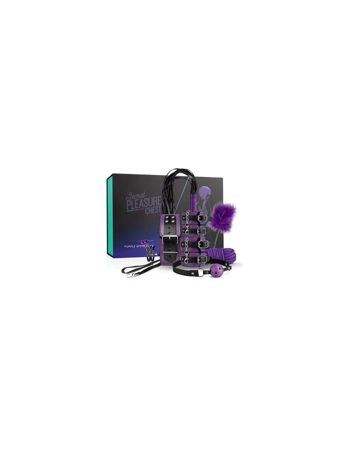 Fialový BDSM set Secret Pleasure Chest Purple Apprentice