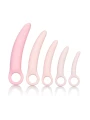 CalExotics Silicone Dilator Kit - 5ks set dilatátorov do vagíny